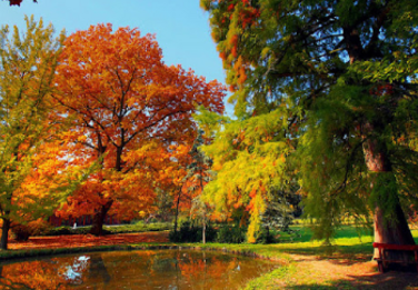 Tiszakürti Arborétum