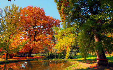 Tiszakürti Arborétum